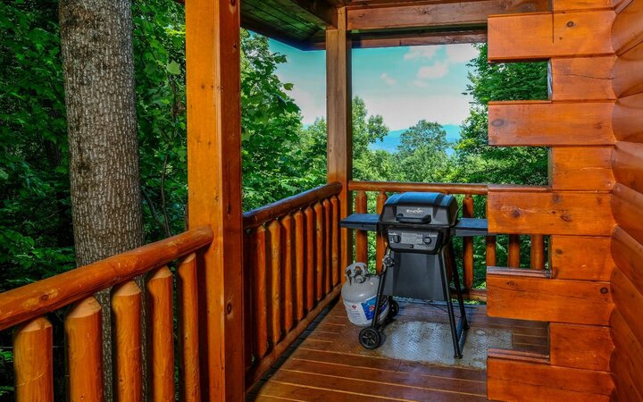 Cabin in Gatlinburg, US