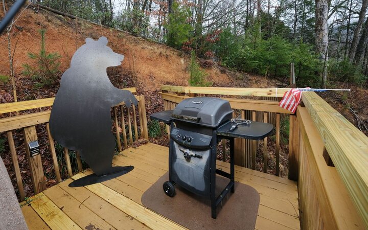 Cabin in Gatlinburg, US