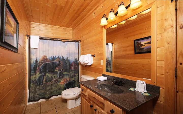 Cabin in Pigeon Forge, US