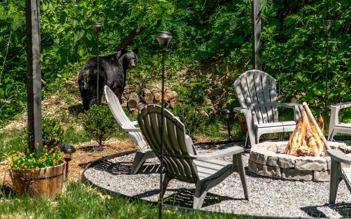 Cabin in Gatlinburg, US