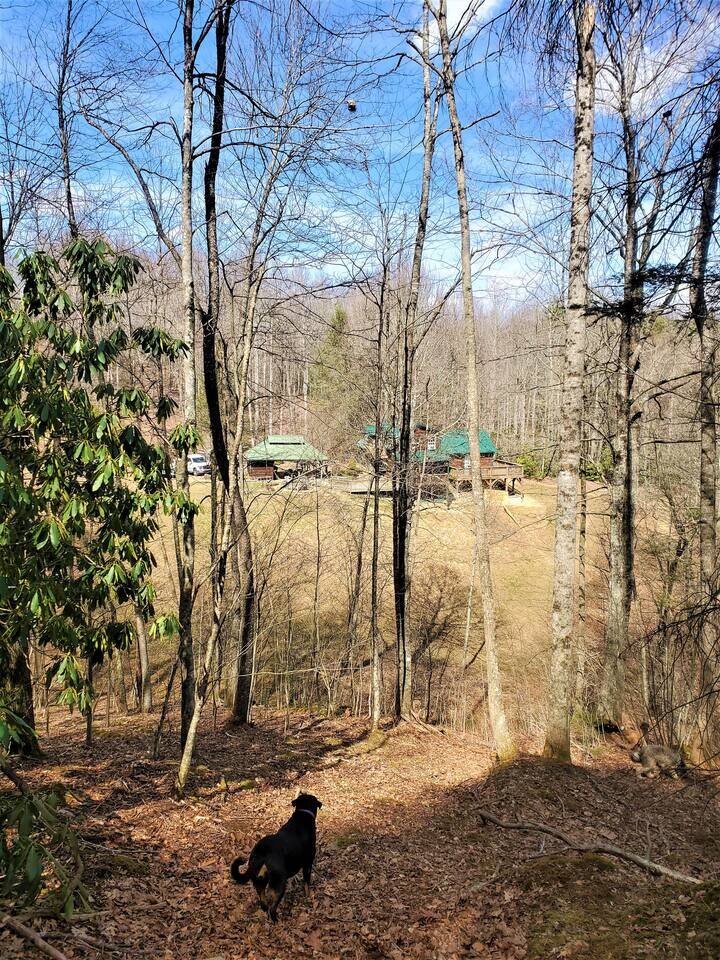 Home in Spruce Pine, US