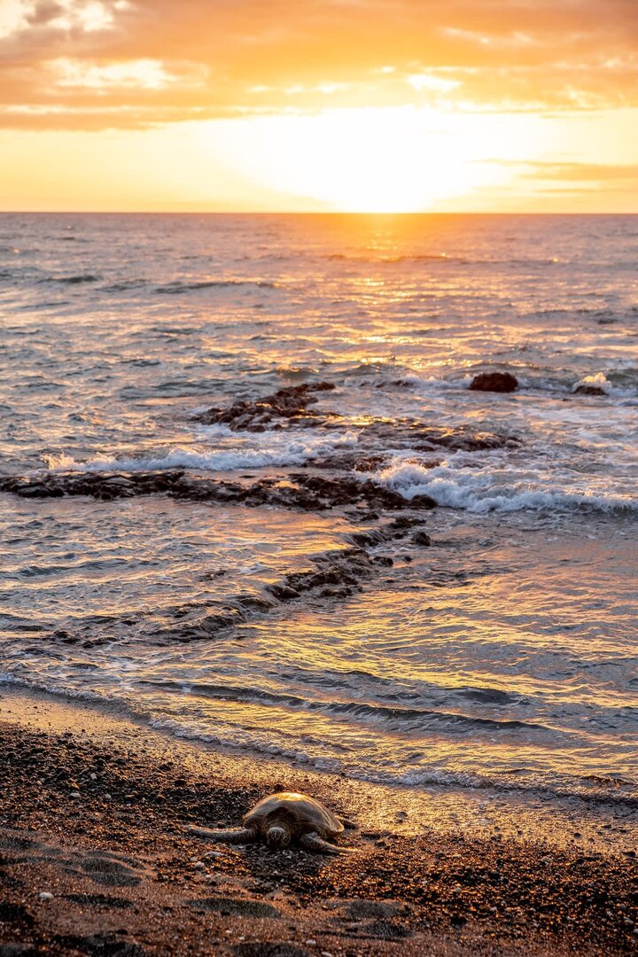 House in Kailua-Kona, US