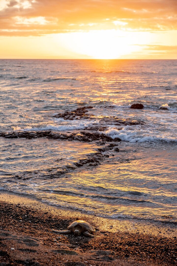 House in Kailua-Kona, US