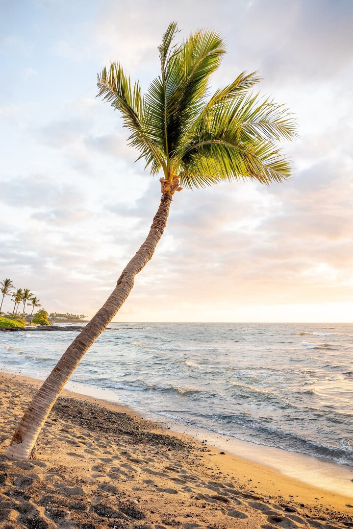 House in Kailua-Kona, US