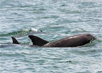 Townhome in Fort Walton Beach, US