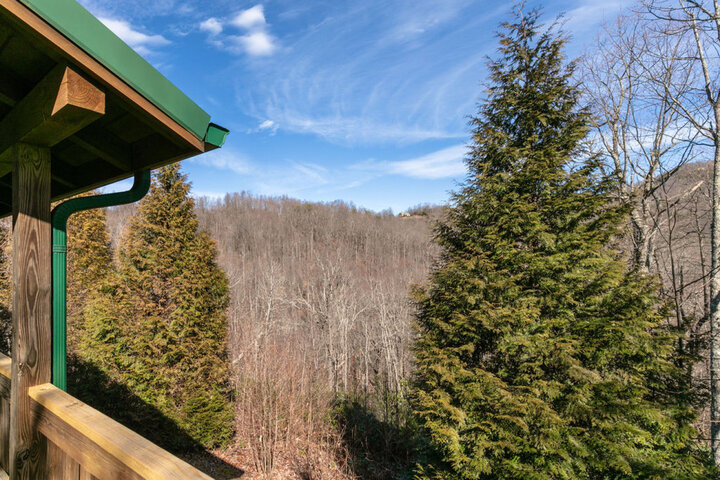 Cabin in Old Fort, US