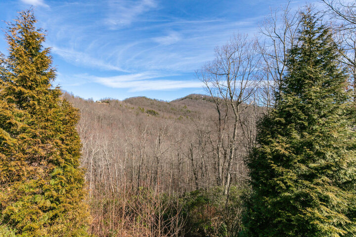 Cabin in Old Fort, US