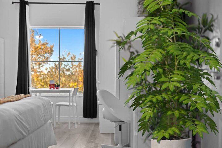 Condominium in Orlando, US