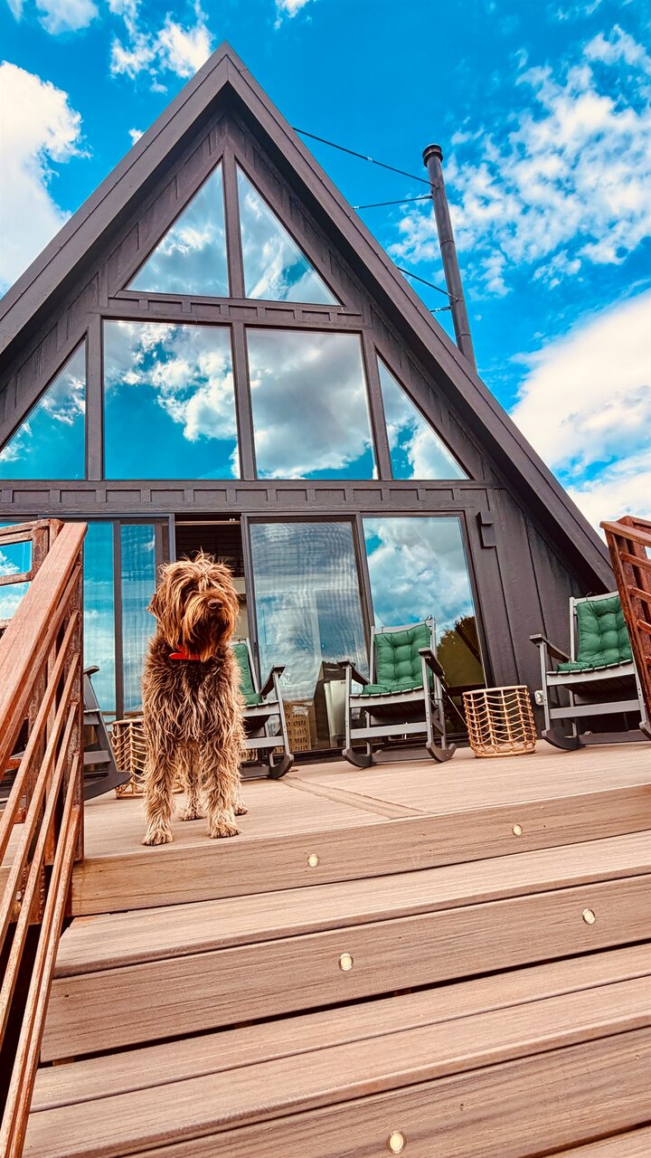 Cabin in Williams, US