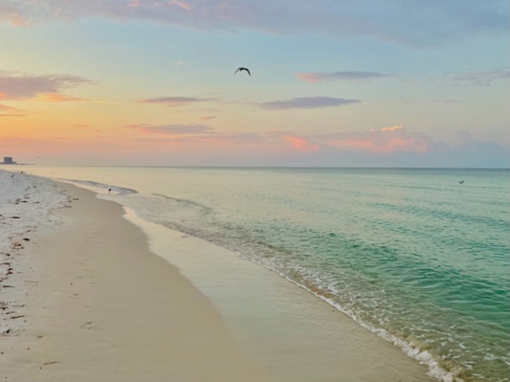 Studio in Panama City Beach, US