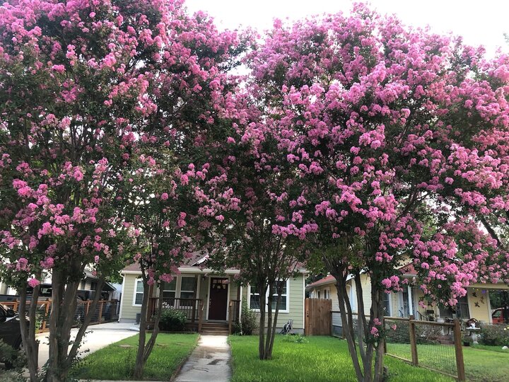 Bungalow in San Antonio, US