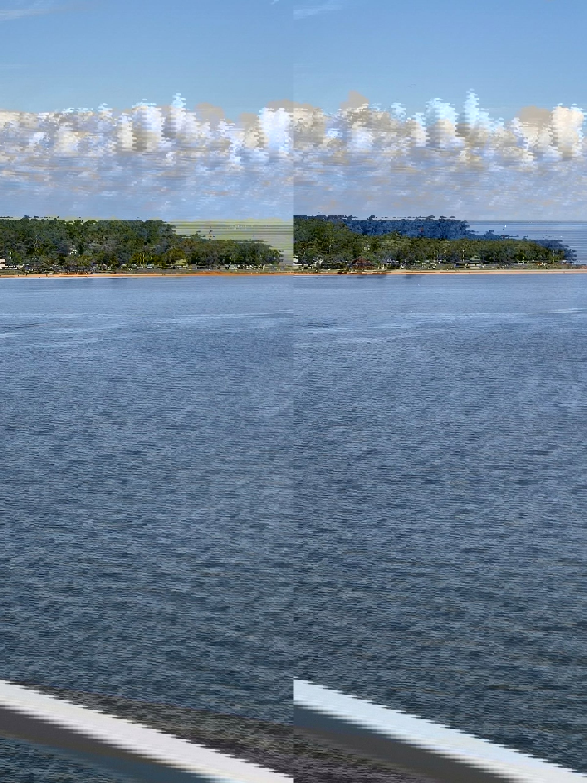 Image 38
