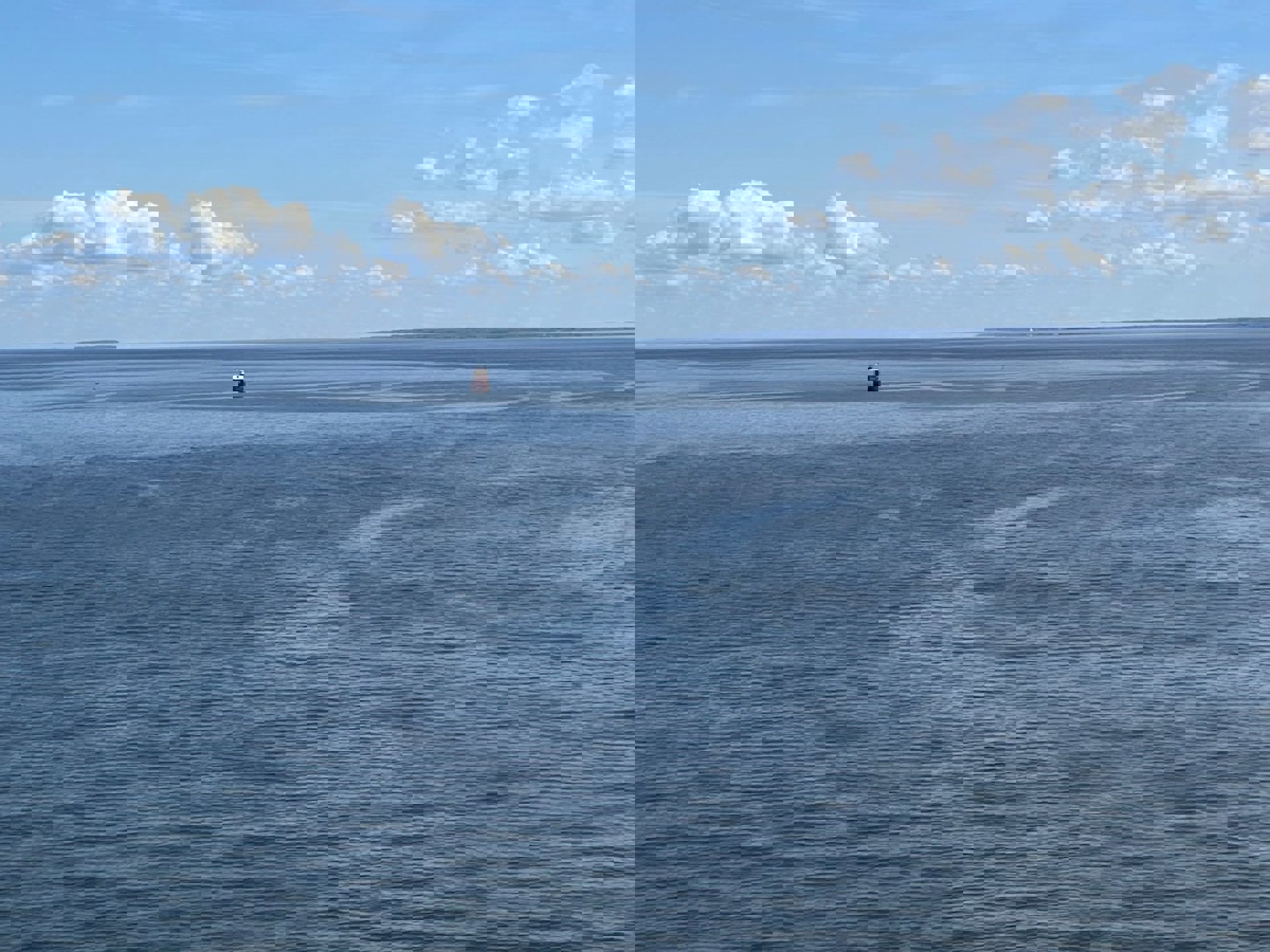 Image 39
