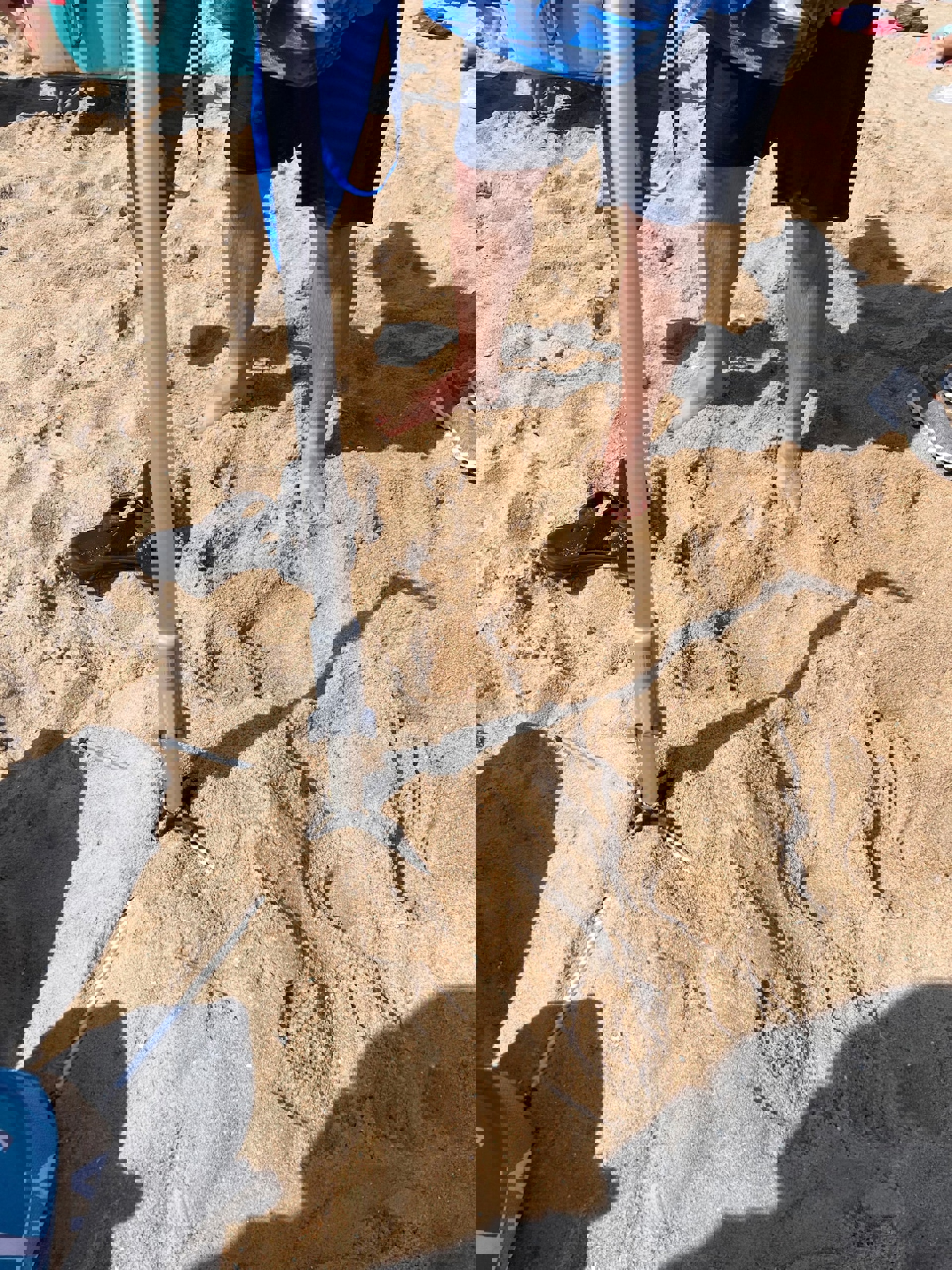 Image 56