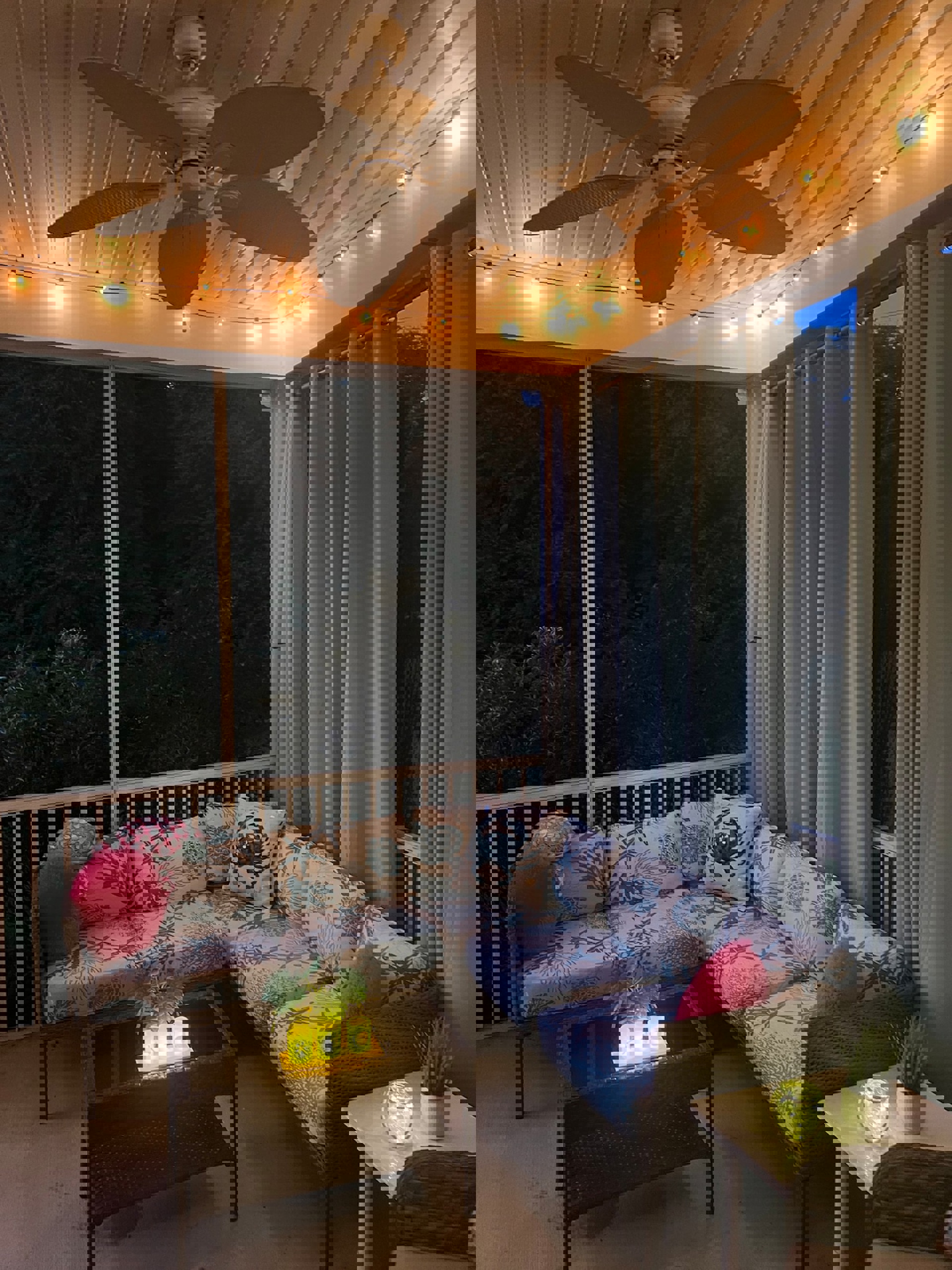 Image 57
