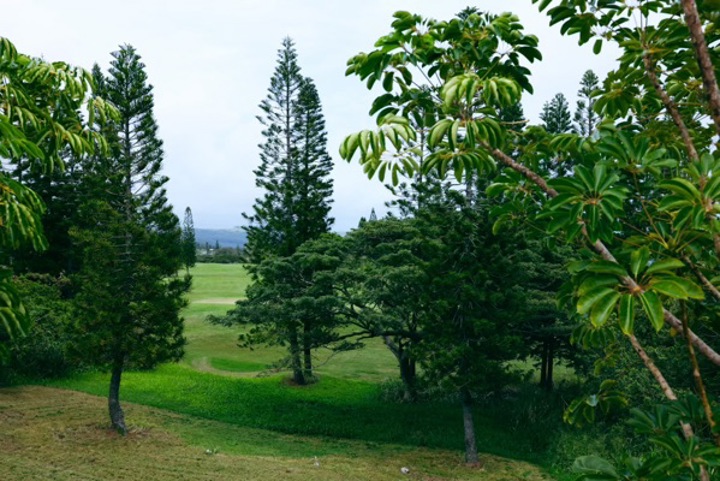 House in Naalehu, US