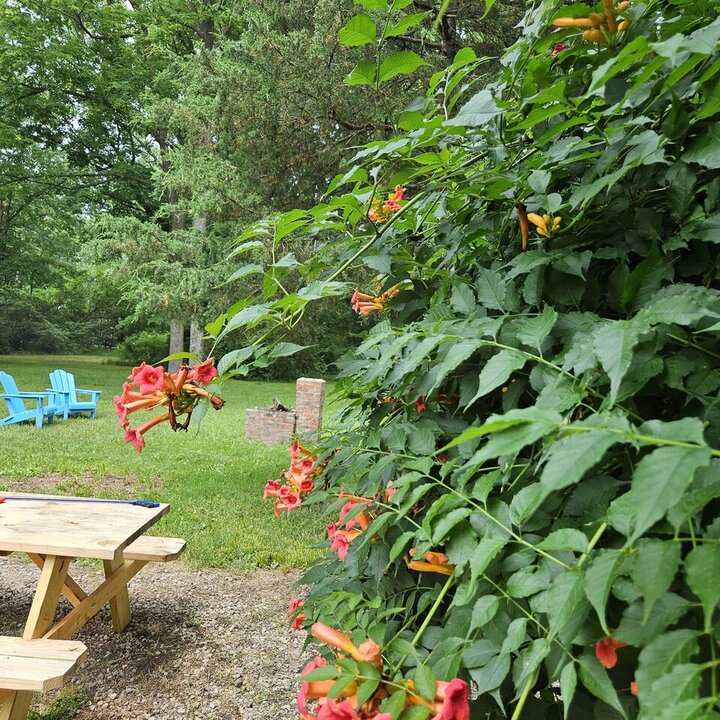 Cottage in Dayton, US