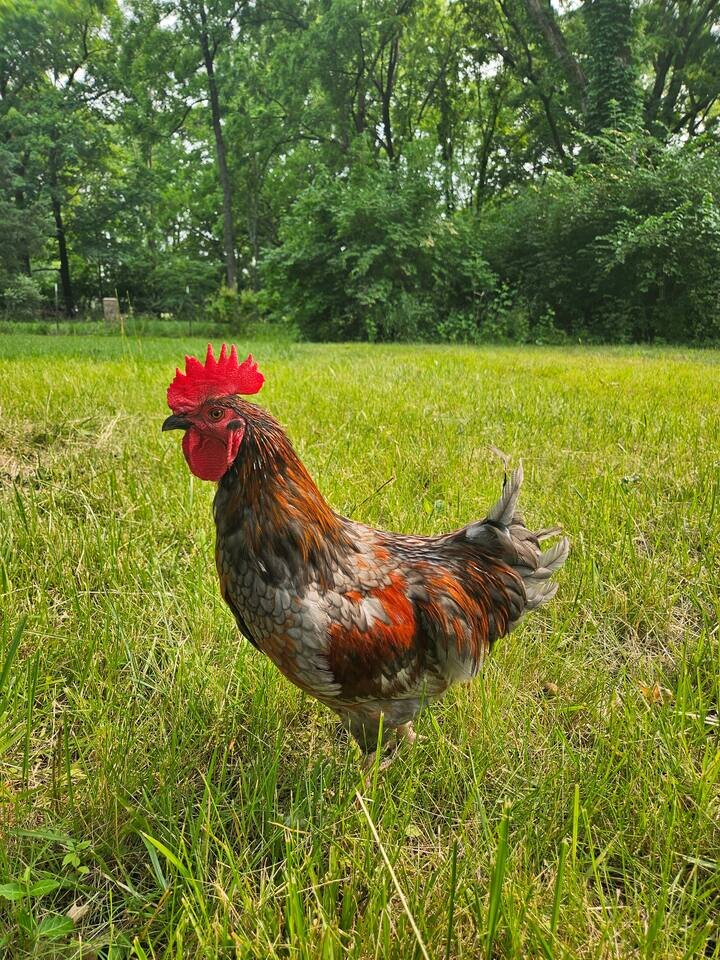 Cottage in Dayton, US