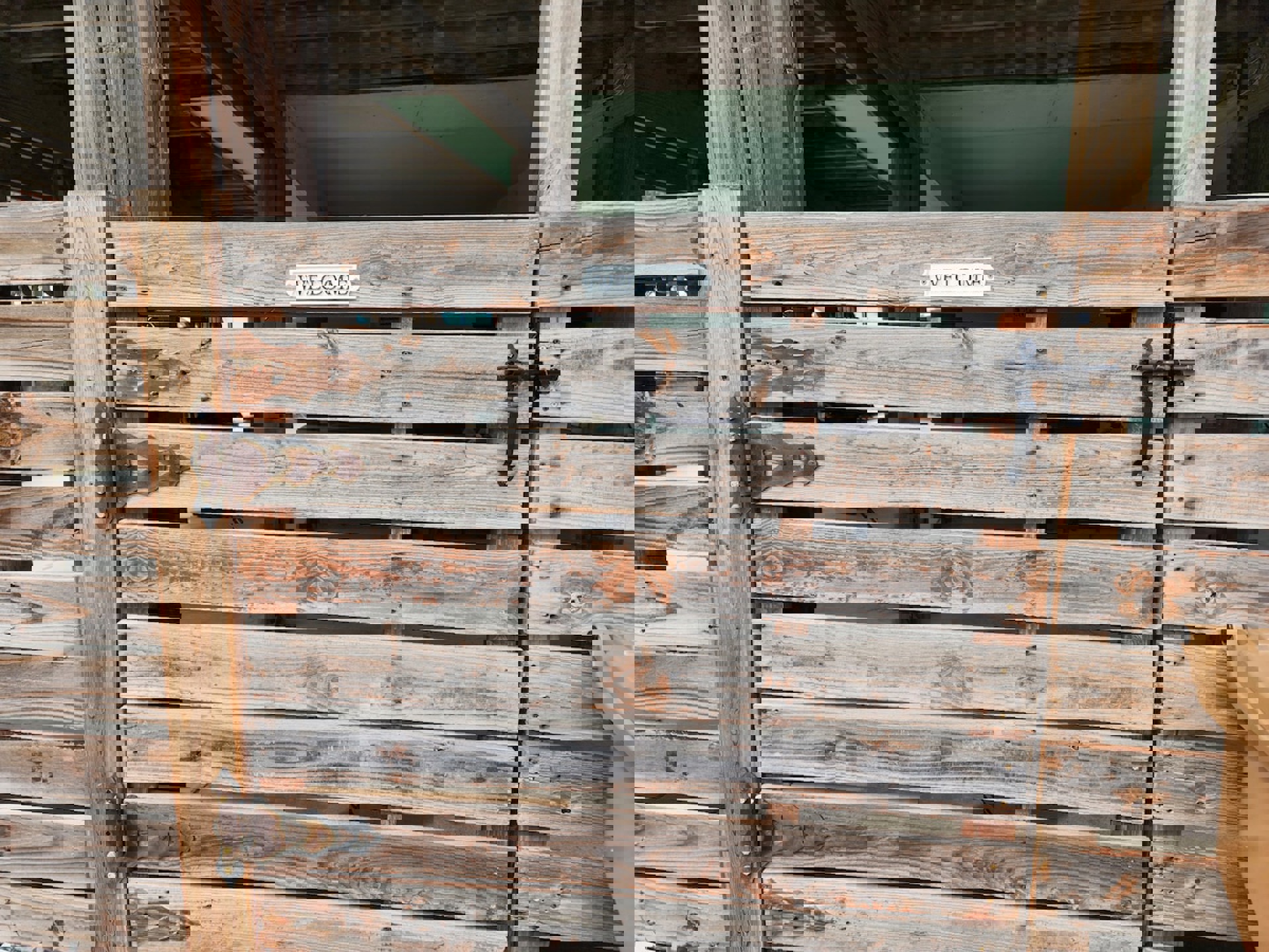 Image 16