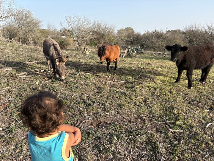 Guest house in Schertz, US