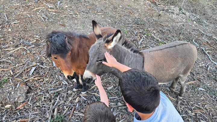 Guest house in Schertz, US