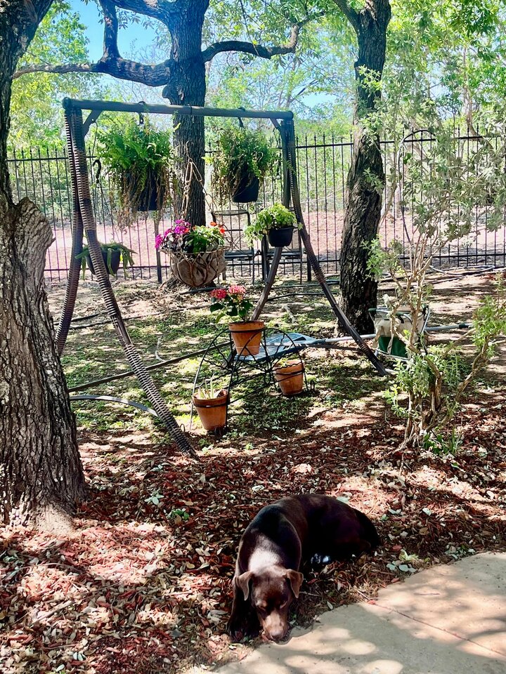Guest house in Schertz, US